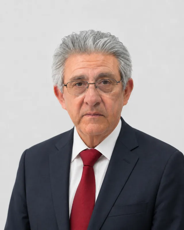 Retrato de Mtro. Fernando Gómez de Lara